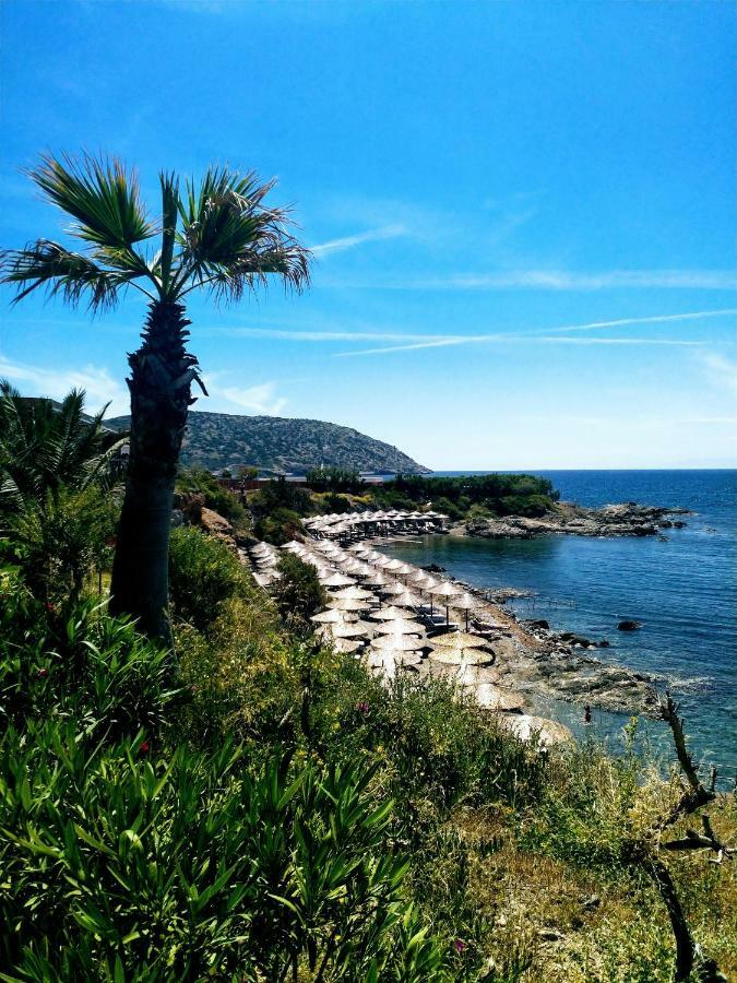 New Seafront Studio Guest House Anavyssos Luaran gambar